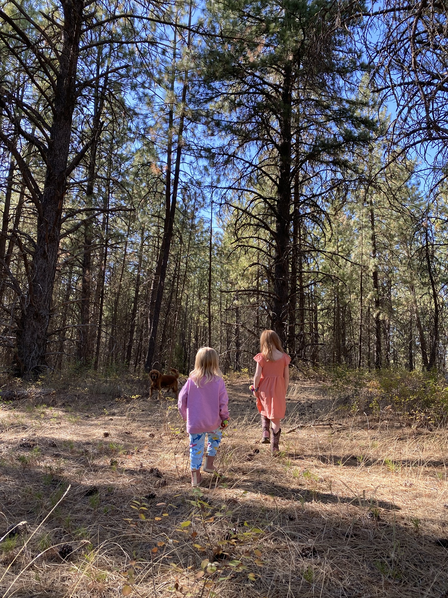 Two young girls walking through the wooded property where our family found our dream home.